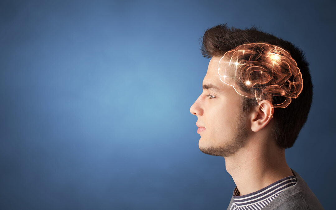 Een duidelijke uitleg en een voorbeeld van Brain Plasticity