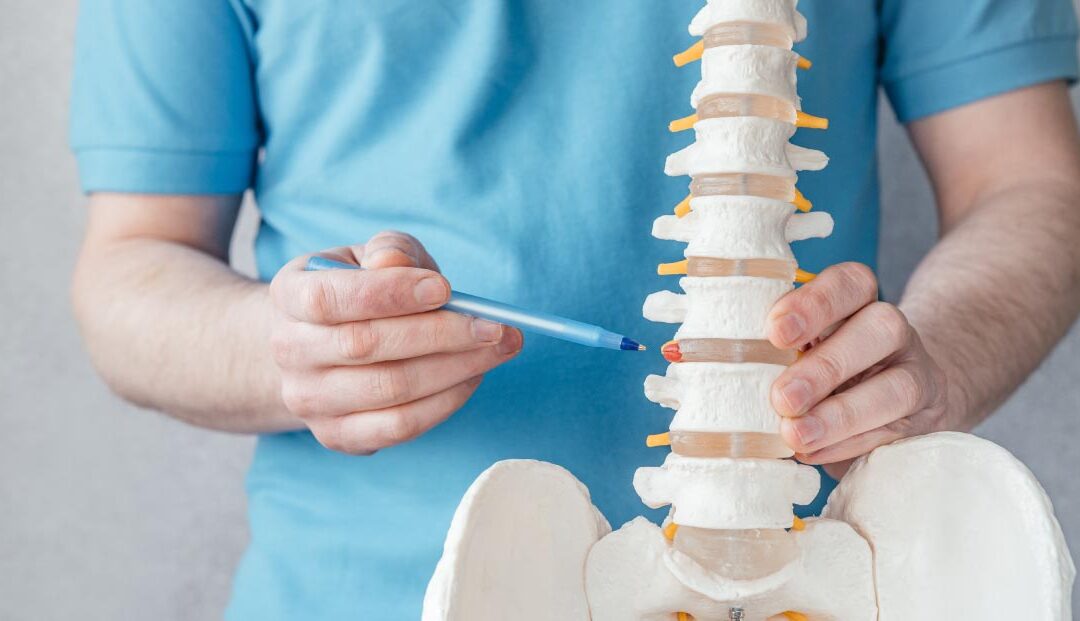 Chiropractische zorg bij lichte hernia klachten